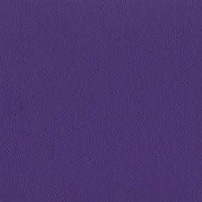 Blackcurrant, New Richmond