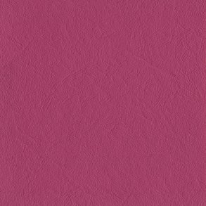 Blossom, New Richmond 