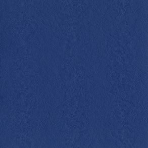 Cornflower, New Richmond