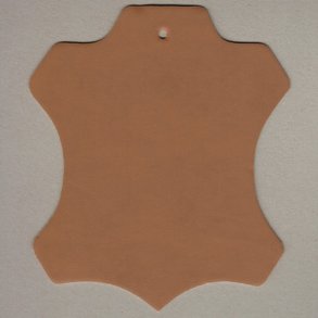 401 lys brun, Tranzerelle