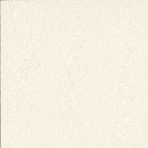 Snowwhite, New Richmond