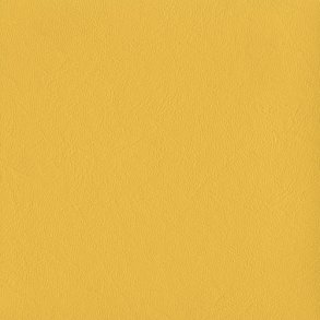 Sunflower, New Richmond